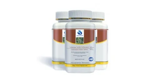 Стройность - Meishi featured image